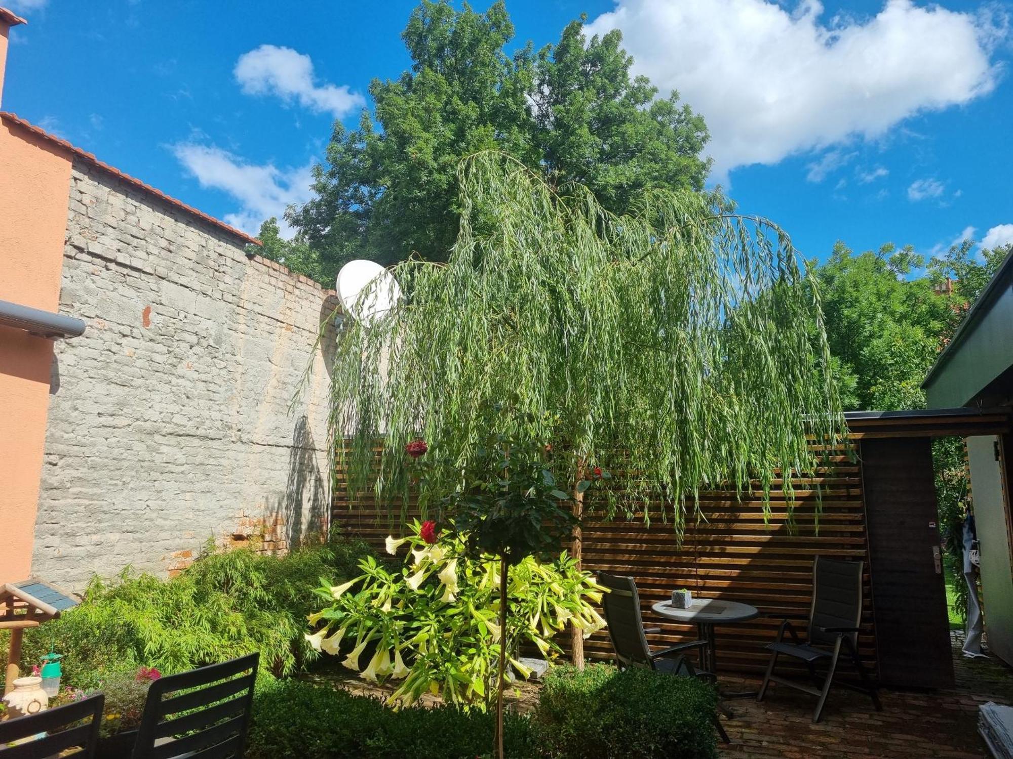 Apartments Junger-Moritz Erfurt Cameră foto